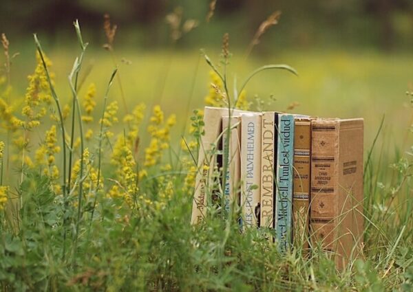 How to Successfully Self-Publish a Book: A Step-by-Step Guide