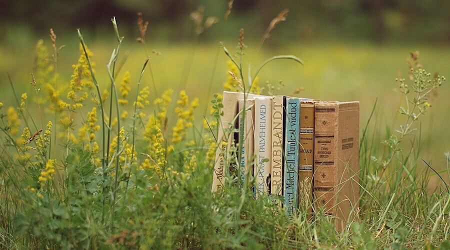 How to Successfully Self-Publish a Book: A Step-by-Step Guide