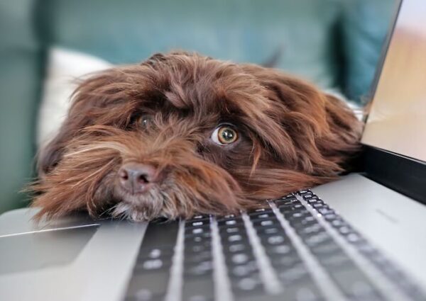 What You Should Know Before Working With a Ghostwriter