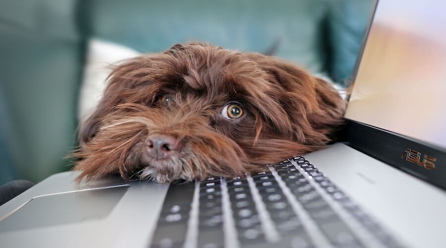 What You Should Know Before Working With a Ghostwriter